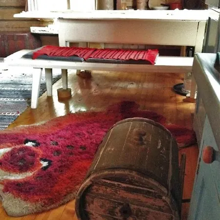 Eraemoekki Puruveden Rannalla