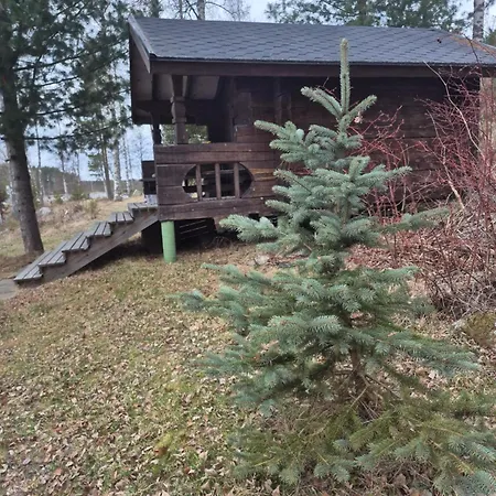 Eraemoekki Puruveden Rannalla Vaara